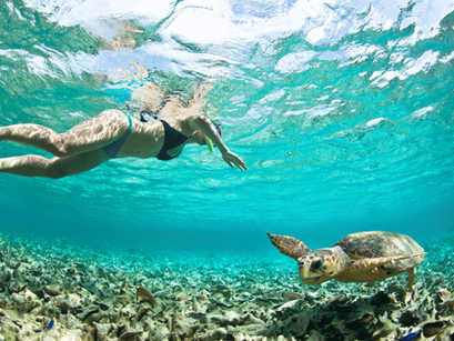 The Best Snorkeling Vacation Packages with SeaDaddy's Dive Center
