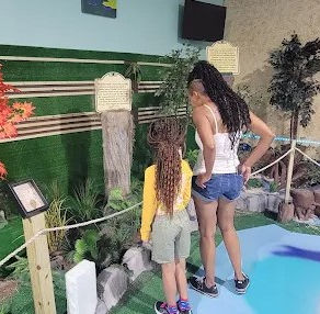 Top 5 Aquariums in Clearwater, FL (Plus One Hidden Treasure Worth the Drive)