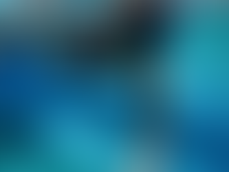 Why Tampa Snorkeling is Cool but Crystal River Snorkeling is Epic
