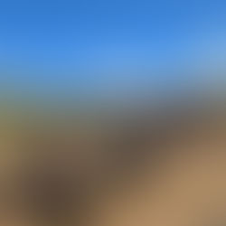 ATV Tours Houston, Your Insider Guide to the Best Off-Road Adventures