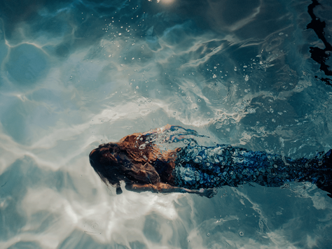 Manatees and Mermaids, The Truth Behind the Myths and Magical Sightings