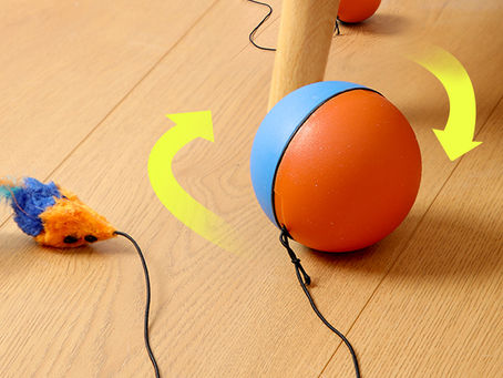 Automatic Cat Teaser Ball