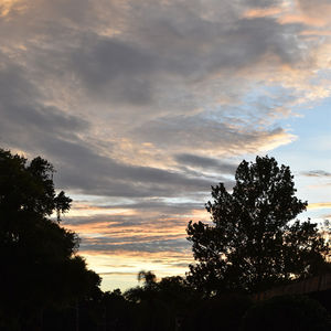 Nature Photography