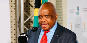 S'Africa's 5th monkeypox case, become cause of concern - Minister