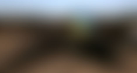 OHCHR: Over 10,000 civilian casualties so far recorded in Ukraine