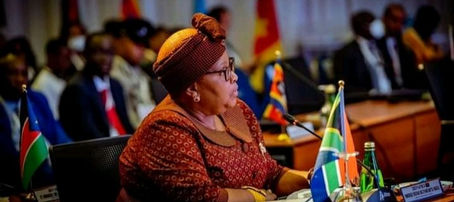 Why undemocratic countries should be blacklisted - African speakers