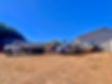 1C32B89D-7C96-499D-9E4A-5E9C13099F5D.jpeg