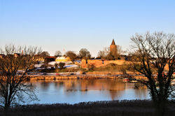 IMG_0310_001