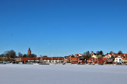 IMG_4944 (3)