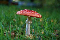 IMG_9176_001