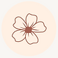 Photos site Web (15).png