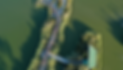 Image1.png