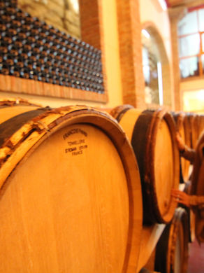 Vineyard Tour #1: Chinchilla Wines, Ronda