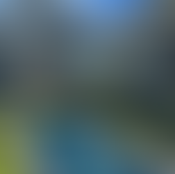 best marbella catering company