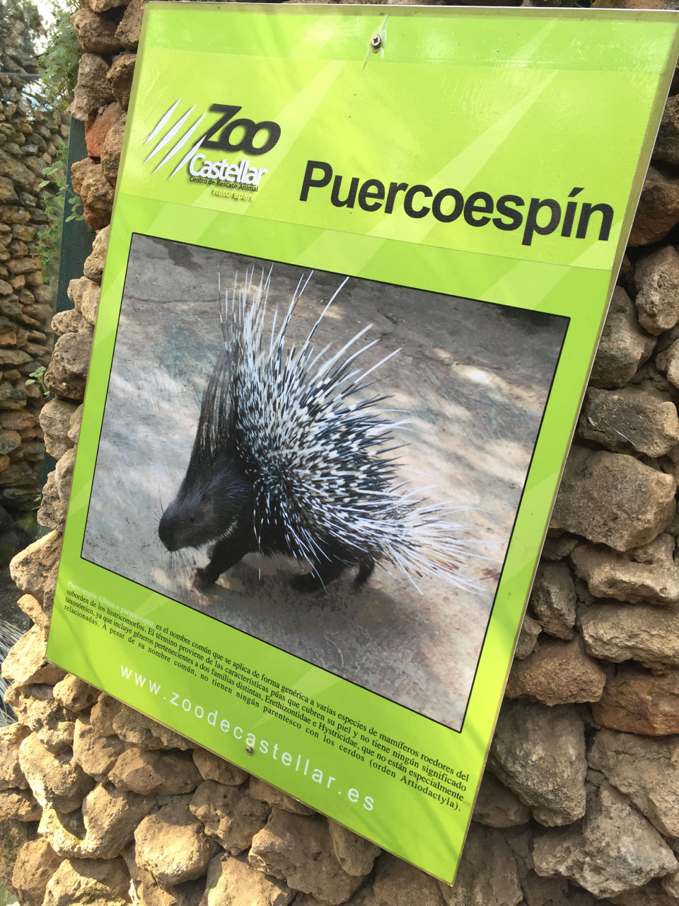 Marbella Zoo17