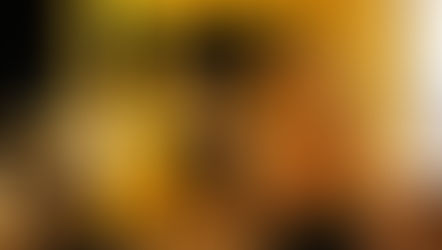 Mexico Blog #2: Dining at Barcelo Maya Grand Resort