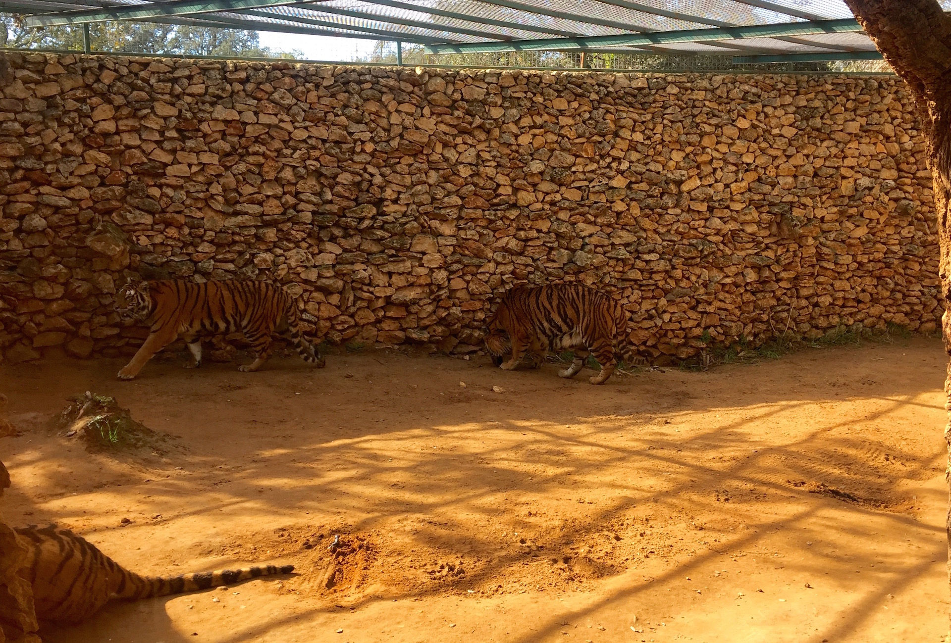 Castellar Zoo17