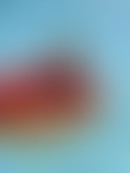 Sommerlife by the pool in Marbella