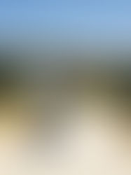 A perfect beach day at La Reserva Beach Club, Sotogrande