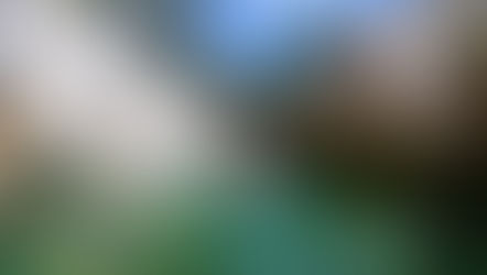 Mexico Blog #8: Casa Tortuga Cenotes in Tulum