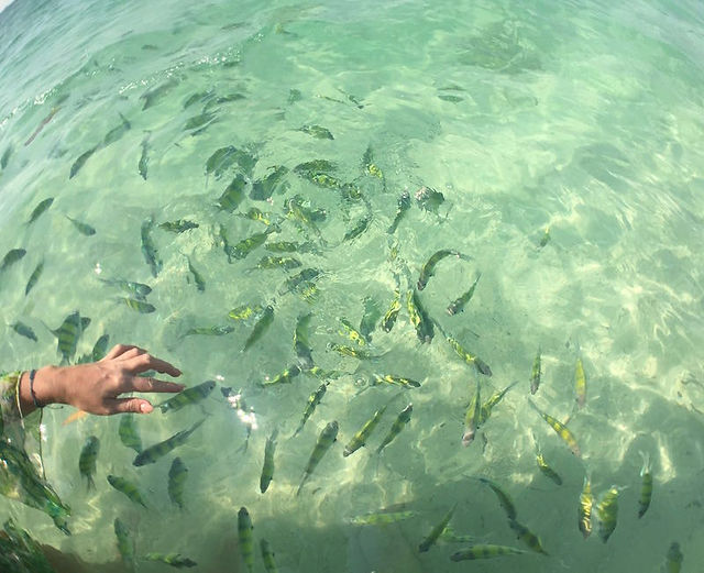 Poda Island Photos14