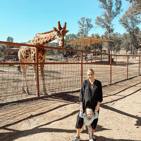 A detailed blog post exploring La Reserva Andalucía, one of Europe's largest wildlife parks near Seville. Includes personal experiences, safari-style drive-through highlights, animal encounters like lions, zebras, and monkeys, plus updated tips for visiting in 2025 — with a new YouTube vlog, travel advice, and family-friendly recommendations.