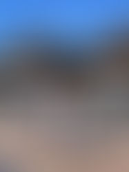 Discovering Tallinn Vol.2: The New Balti Station Market