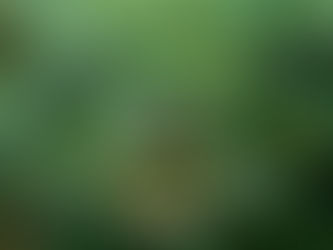 Sustainable Property Upgrades That Will Appeal to Athens Tenants