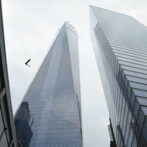 Urban Skylines and Landscapes