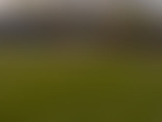 Auswärtssieg in Niederkirchen