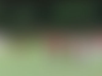 Spielbericht SV 1930 Rot-Weiß Seebach - SG Limburgerhof 1:0