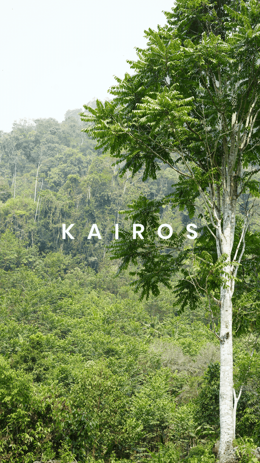 kairos_DSC04903_glisten-2.gif
