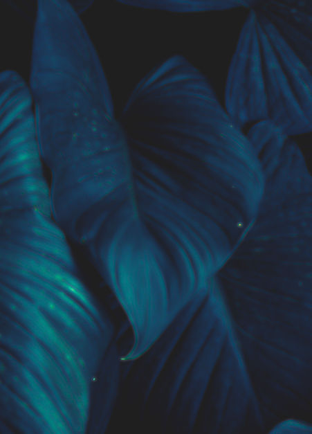 Green White Simple Nature Instagram Post
