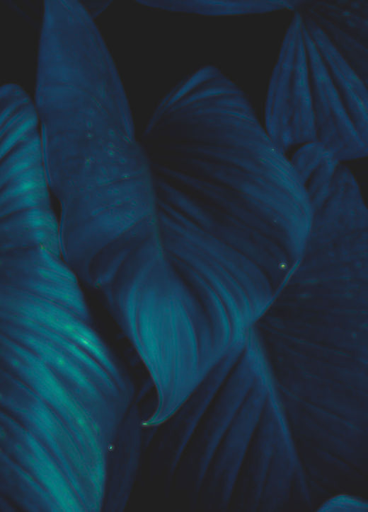 Green White Simple Nature Instagram Post