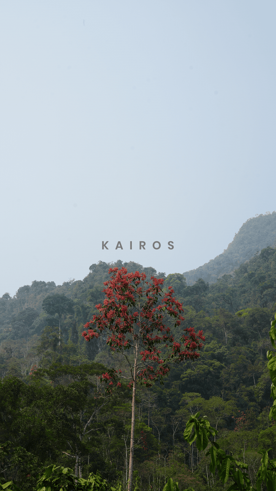 kairos_DSC04884mirror_half_glisten.gif