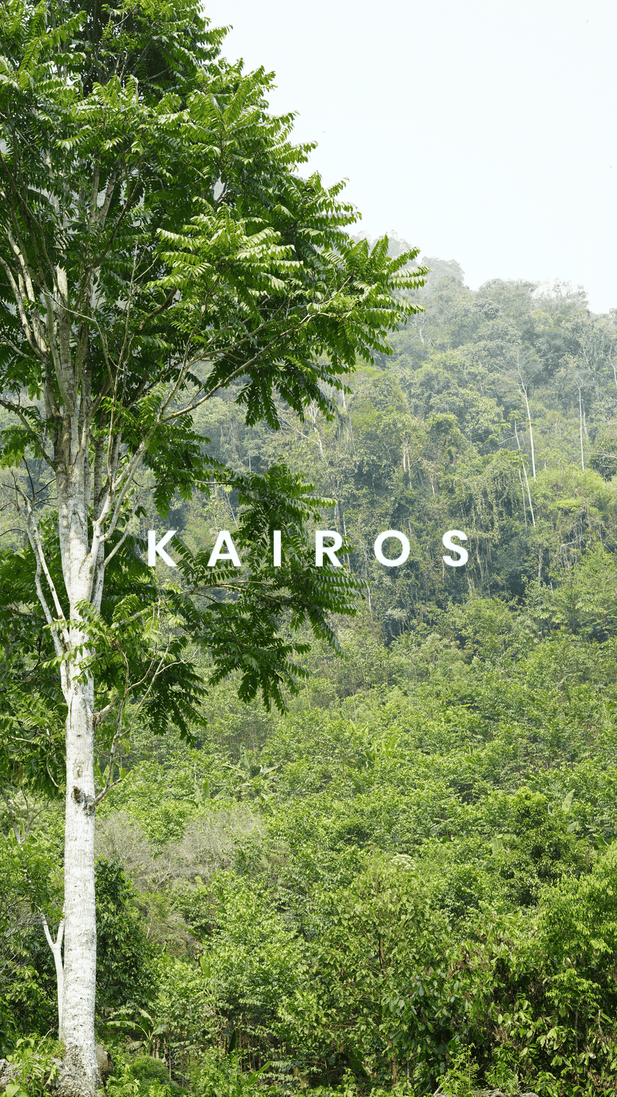 kairos_DSC04903mirror_glisten-2.gif
