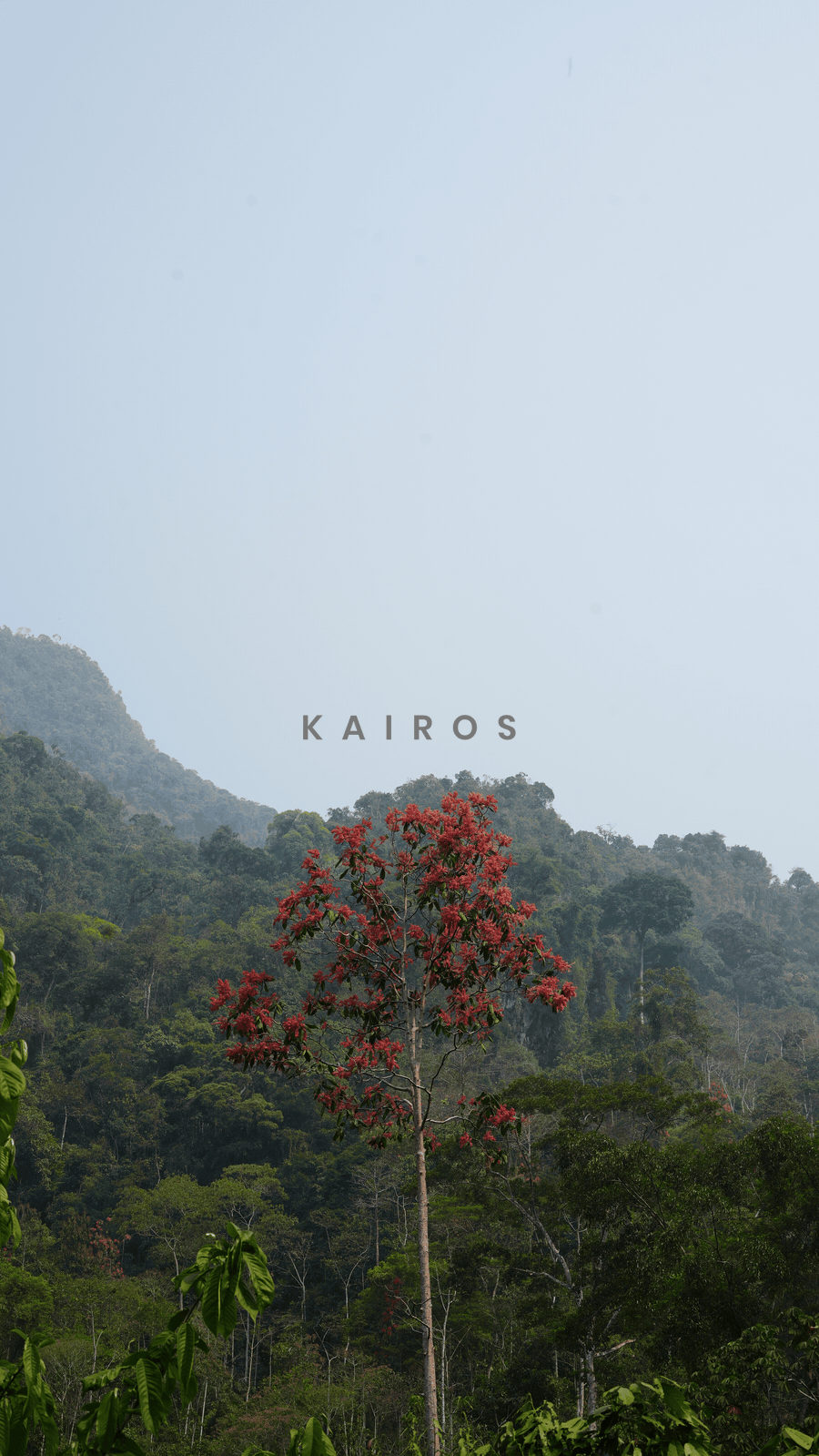 kairos_DSC04884_half_glisten.gif