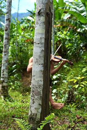 The environment of Kairos with a community memeber expressing his creativity playing the violin in the forest