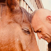 Equine Assisted Therapy - Adam Shereston