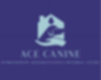 Ace Canine - Hydrotherapy