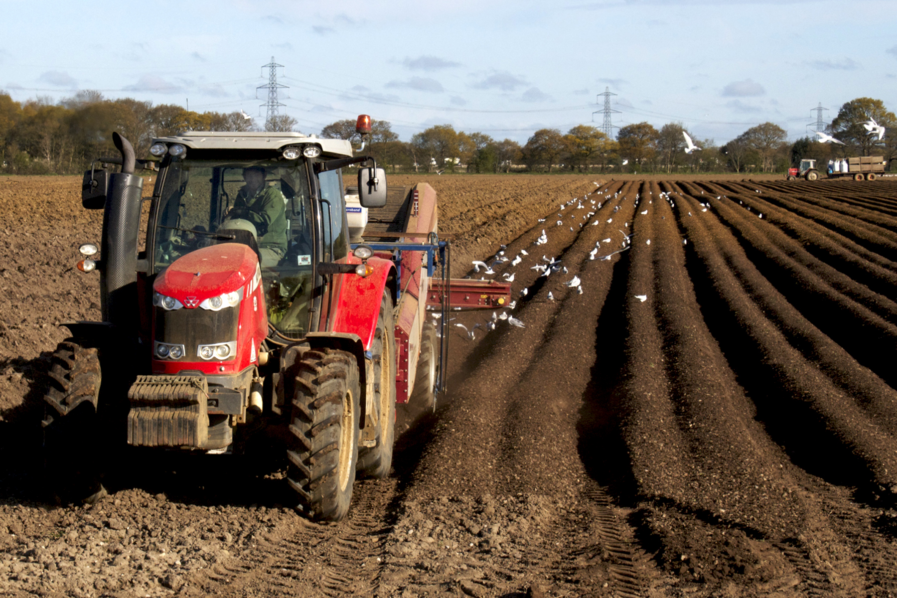 Potato Planting 2016