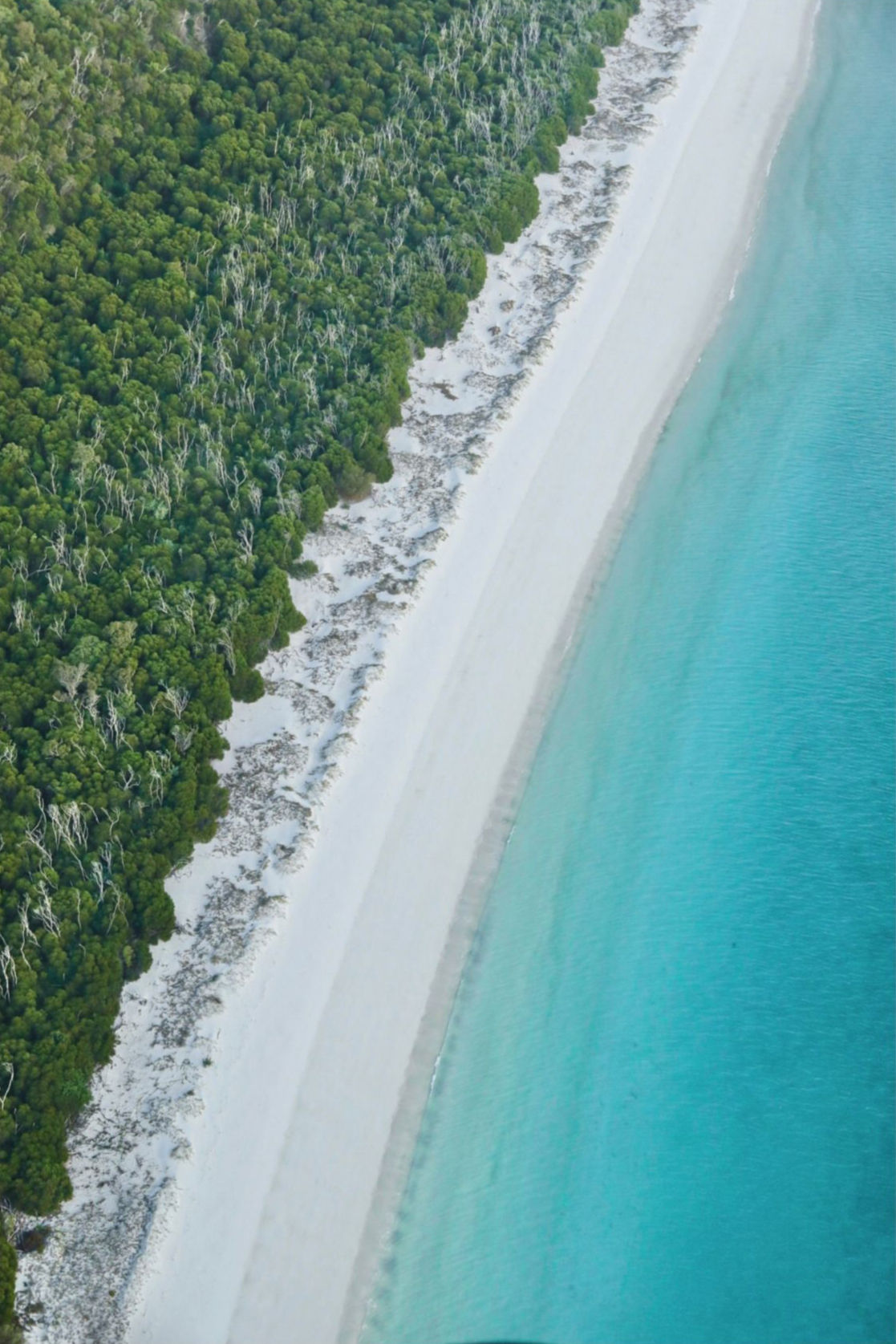 Whitehaven Beach, Whitsundays