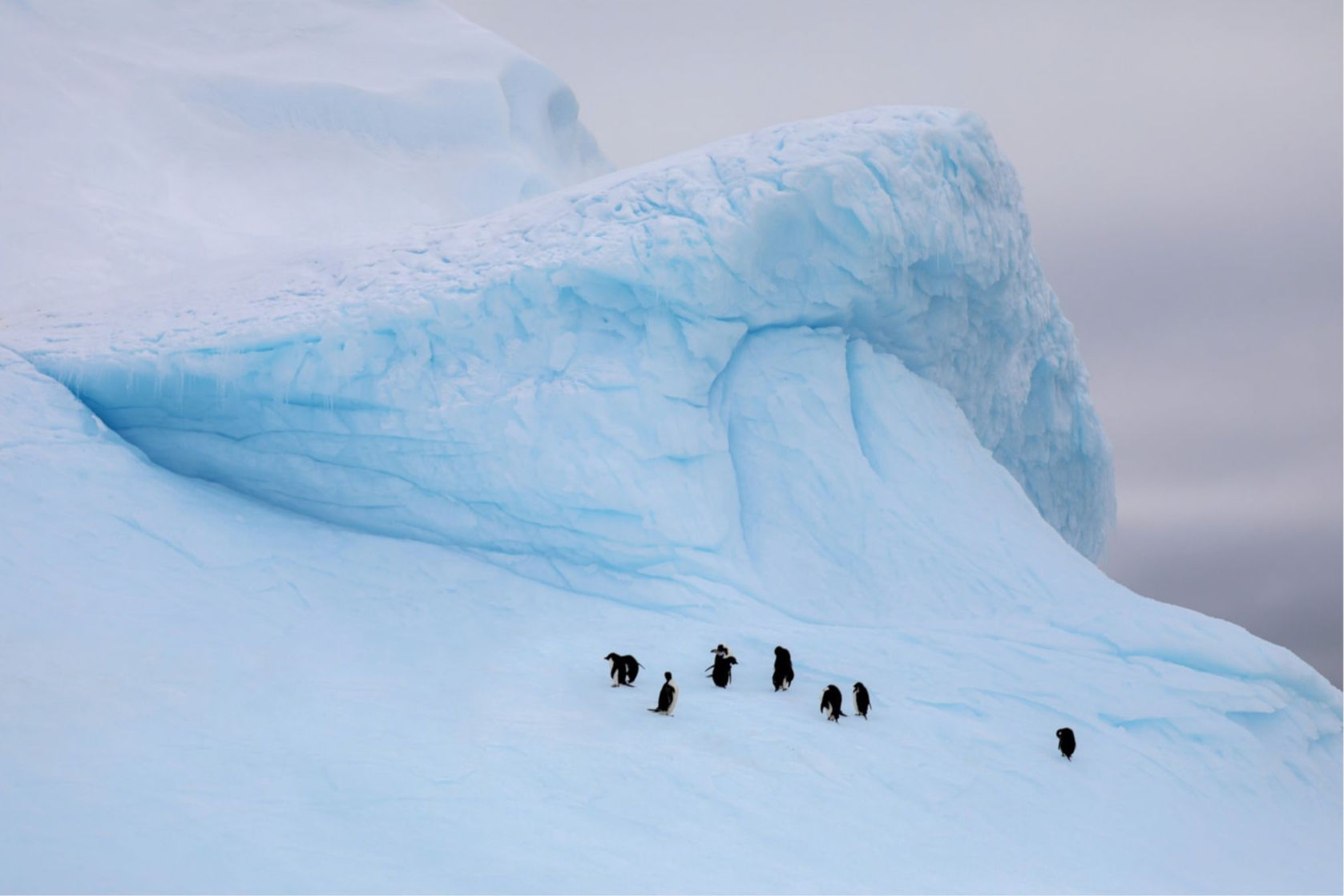 Antarctic Peninsula