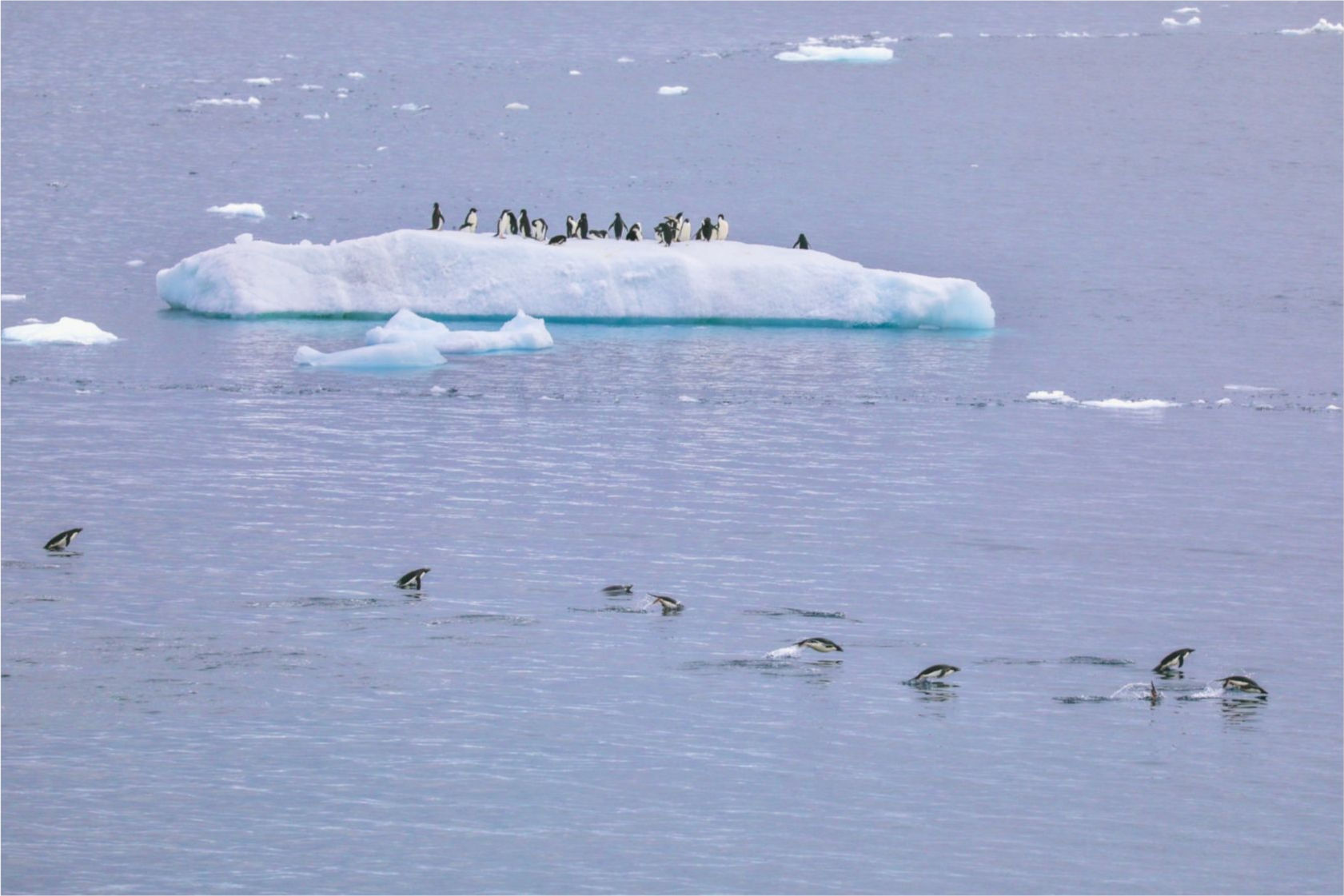 Antarctic Peninsula