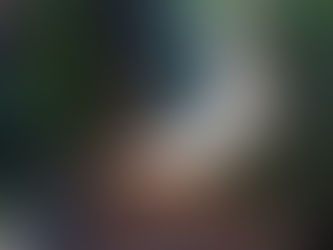 Stewardship for Beauty, Elegance, and Intelligent Design