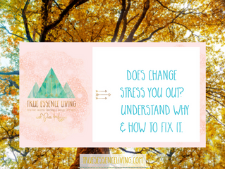 Does change stress you out? Understand why & how to fix it.