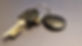 20220829_223329.jpg
