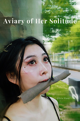 Aviary of Her Solitude 海报1.png