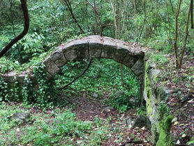 Saluda Factory Remains South Carolina