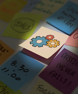 goat innovation 14.jpg